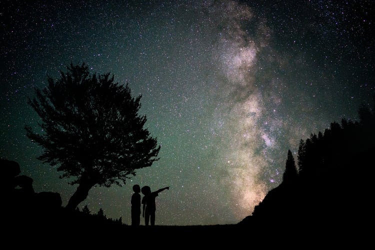 looking for the north star