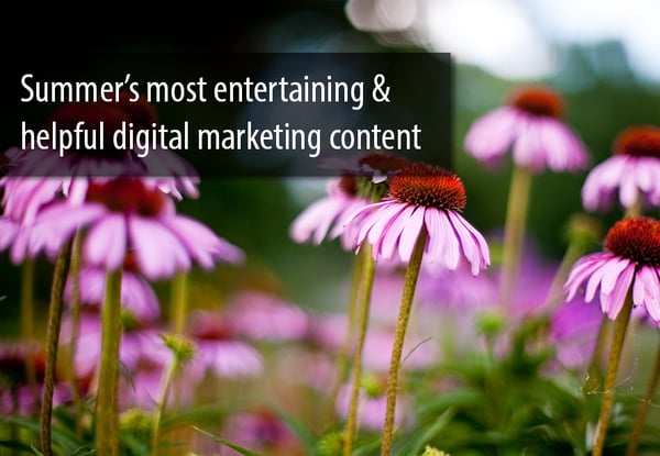 Summer_Digital_Marketing_Content
